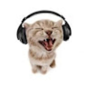 Meet your Posher, Jezy